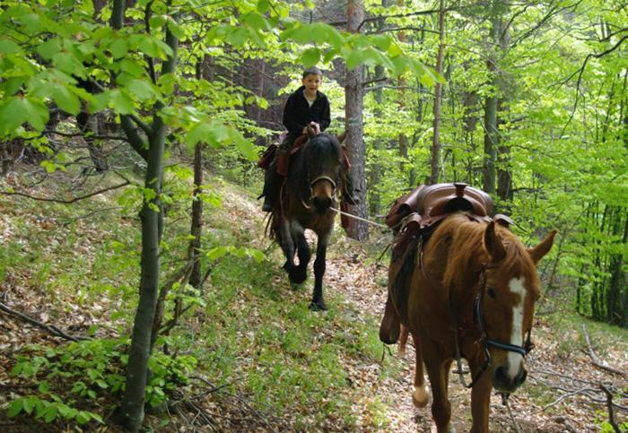 Eco Hotel Zdravetz Tsar Kaloyan  Bagian luar foto